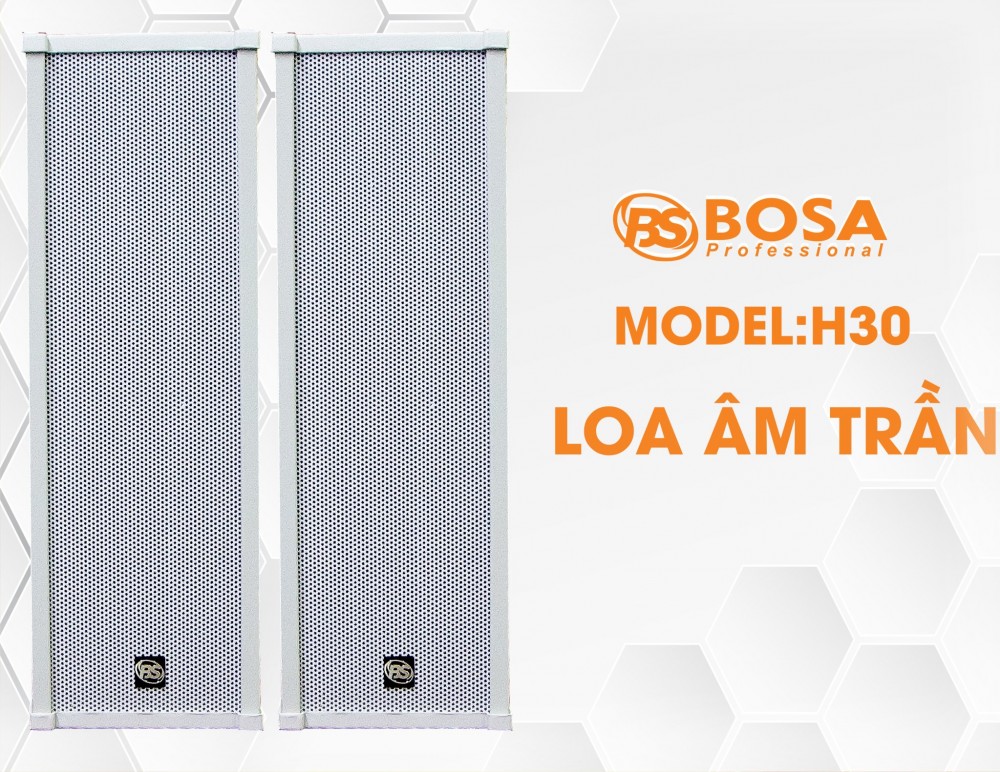 Loa Hội nghị Bosa H-30