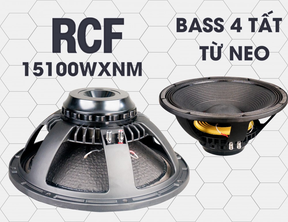 BASS RCF 15100-WXNM 4 TAC NEO 